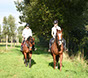 Binnen- en buitenpistes 20mx60m + binnenpaddock 20x40m, wasplaats, solarium, ruime parking...